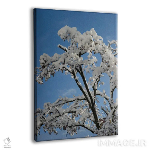 تابلو شاخههای برفی یکم اثر هنر آنیتا و بلا - نمای پرسپکتیو محصول