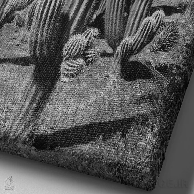 تابلو واحه کاکتوس دوم اثر هنر آنیتا و بلا - نمای نزدیک بافت بوم