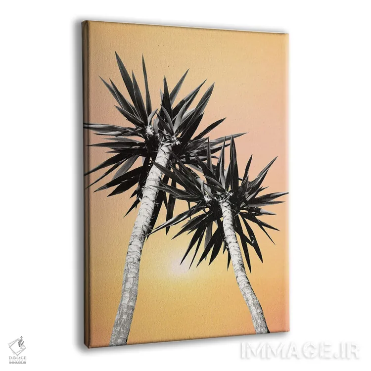 تابلو حال و هوای تابستان کالیفرنیا با نخلها دوم اثر هنر آنیتا و بلا - نمای پرسپکتیو محصول