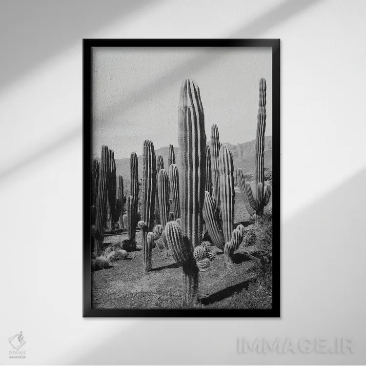 تابلو واحه کاکتوس دوم اثر هنر آنیتا و بلا - نمای قابدار مشکی