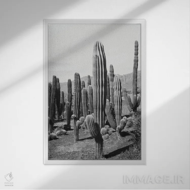 تابلو واحه کاکتوس دوم اثر هنر آنیتا و بلا - نمای قابدار سفید