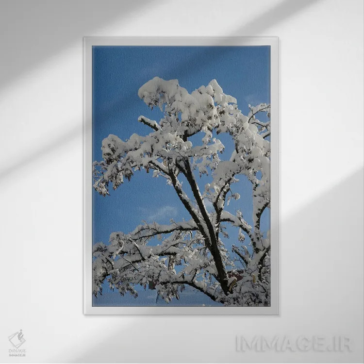 تابلو شاخههای برفی یکم اثر هنر آنیتا و بلا - نمای قابدار سفید