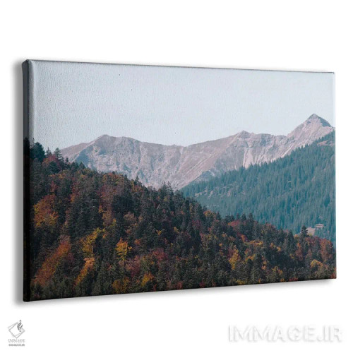 تابلو شعف درختان کوهستان سوم اثر هنر آنیتا و بلا - نمای پرسپکتیو محصول