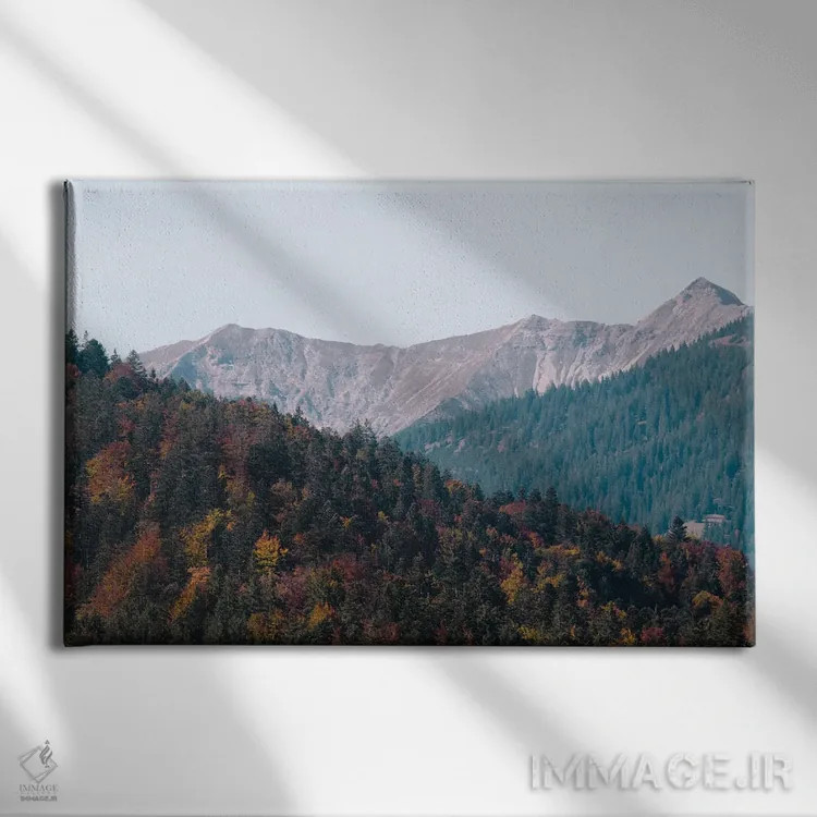 تابلو شعف درختان کوهستان سوم اثر هنر آنیتا و بلا - نمای روبهرو روی دیوار