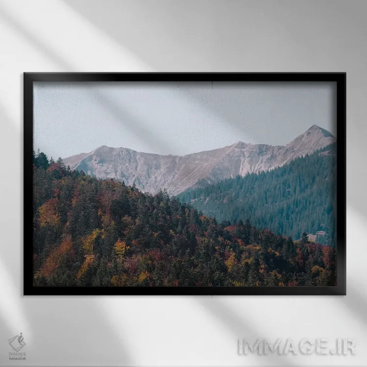 تابلو شعف درختان کوهستان سوم اثر هنر آنیتا و بلا - نمای قابدار مشکی