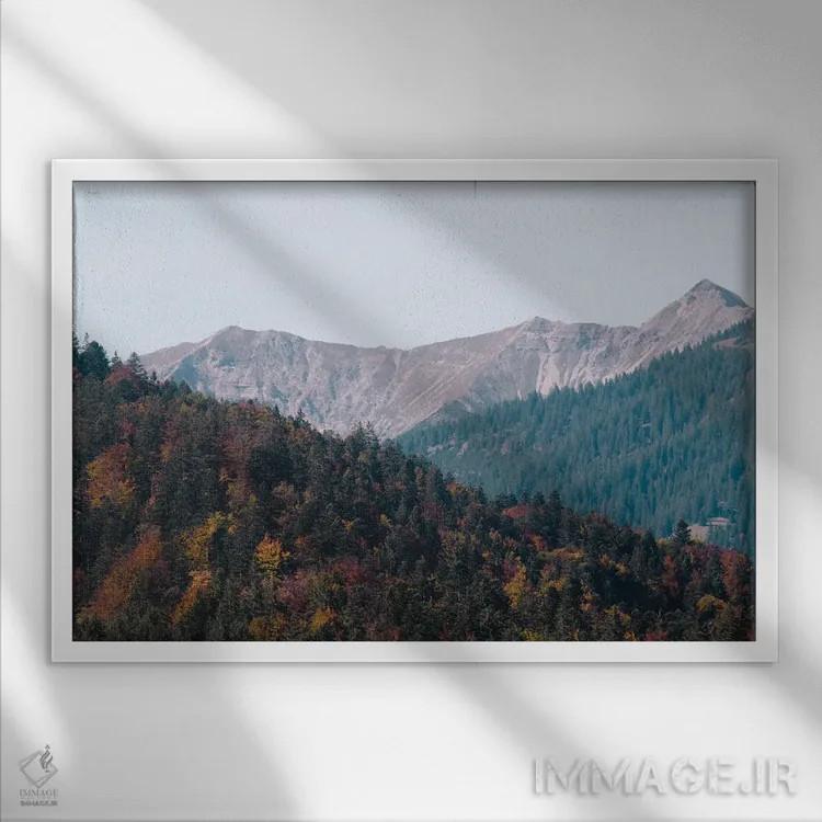 تابلو شعف درختان کوهستان سوم اثر هنر آنیتا و بلا - نمای قابدار سفید