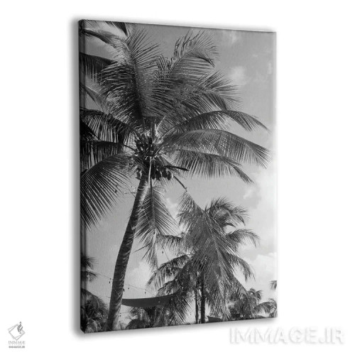 تابلو رویای نخلهای کاریبی یکم اثر هنر آنیتا و بلا - نمای پرسپکتیو محصول