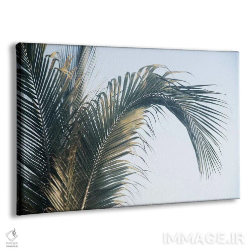 تابلو برگهای نخل کاریبی یکم اثر هنر آنیتا و بلا - نمای پرسپکتیو محصول