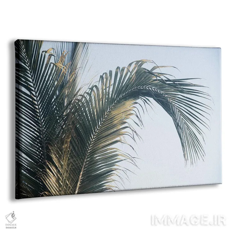 تابلو برگهای نخل کاریبی یکم اثر هنر آنیتا و بلا - نمای پرسپکتیو محصول