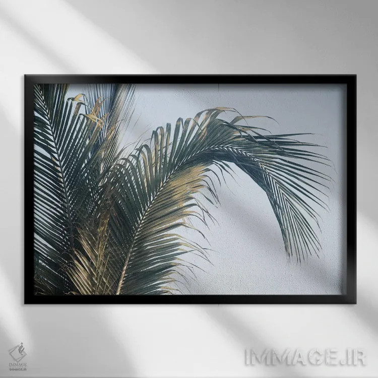 تابلو برگهای نخل کاریبی یکم اثر هنر آنیتا و بلا - نمای قابدار مشکی