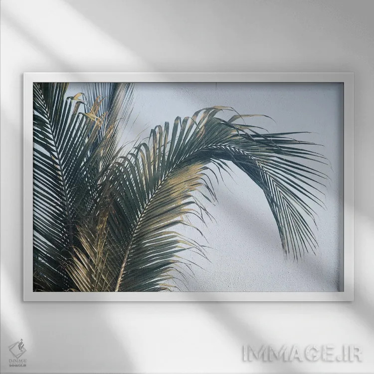 تابلو برگهای نخل کاریبی یکم اثر هنر آنیتا و بلا - نمای قابدار سفید