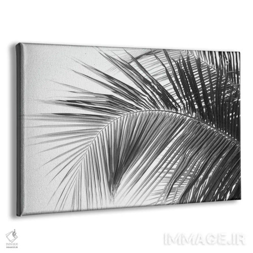 تابلو رویای برگهای نخل کاریبی دوم اثر هنر آنیتا و بلا - نمای پرسپکتیو محصول