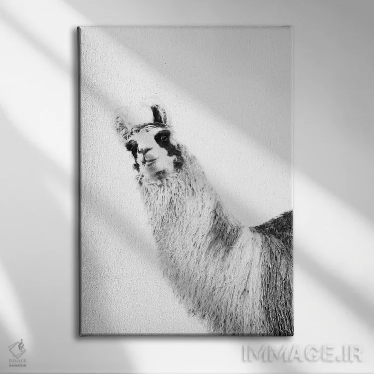 تابلو لامای بامزه سیاه و سفید یکم اثر هنر آنیتا و بلا - نمای روبهرو روی دیوار