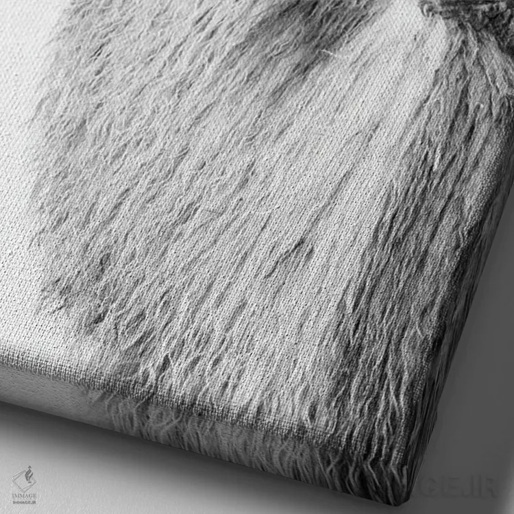 تابلو لامای بامزه سیاه و سفید یکم اثر هنر آنیتا و بلا - نمای نزدیک بافت بوم