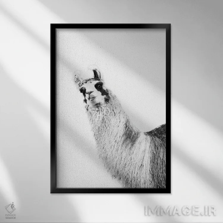 تابلو لامای بامزه سیاه و سفید یکم اثر هنر آنیتا و بلا - نمای قابدار مشکی