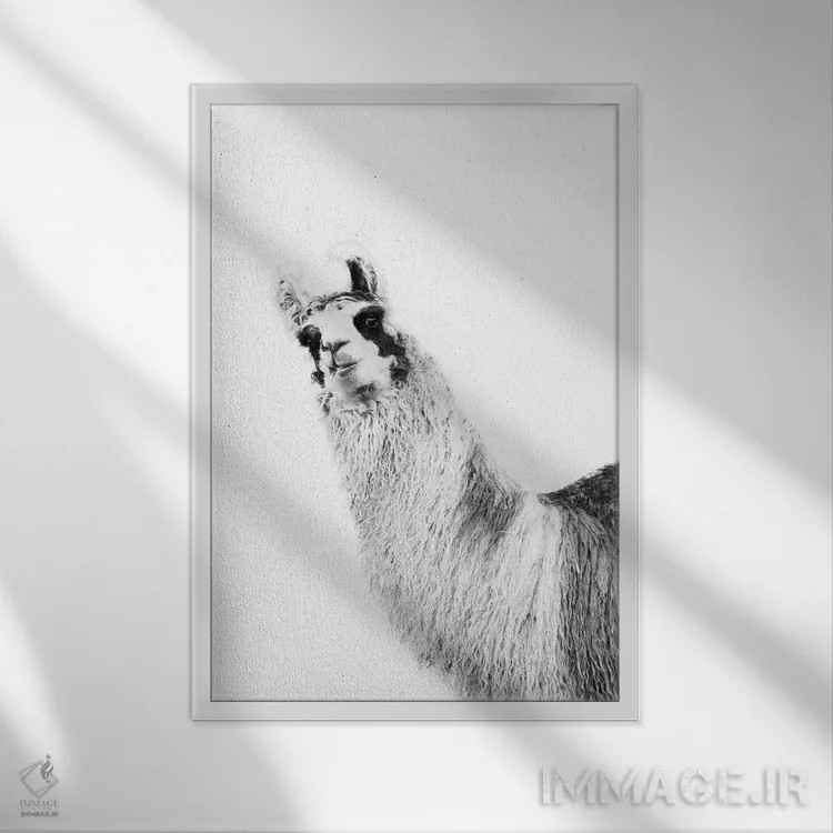 تابلو لامای بامزه سیاه و سفید یکم اثر هنر آنیتا و بلا - نمای قابدار سفید