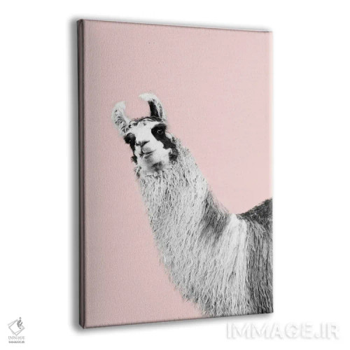 تابلو لامای بامزه صورتی و سیاه و سفید یکم اثر هنر آنیتا و بلا - نمای پرسپکتیو محصول