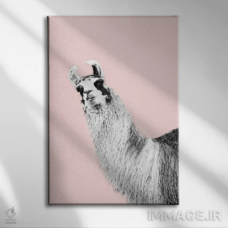 تابلو لامای بامزه صورتی و سیاه و سفید یکم اثر هنر آنیتا و بلا - نمای روبهرو روی دیوار