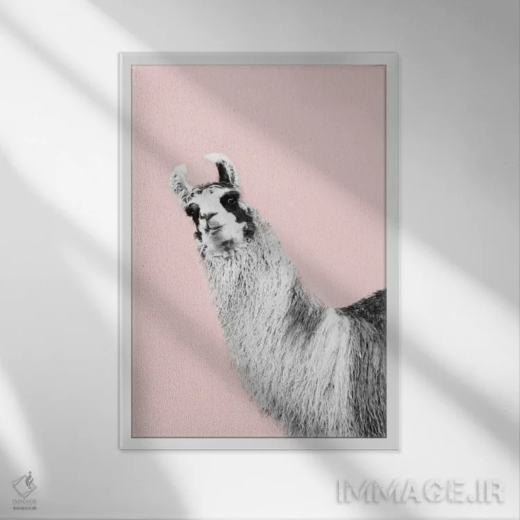 تابلو لامای بامزه صورتی و سیاه و سفید یکم اثر هنر آنیتا و بلا - نمای قابدار سفید