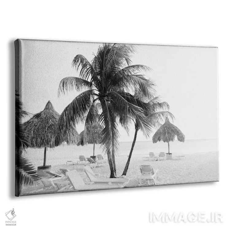 تابلو کاس آبائو (جزیره کاریبی) اثر هنر آنیتا و بلا - نمای پرسپکتیو محصول