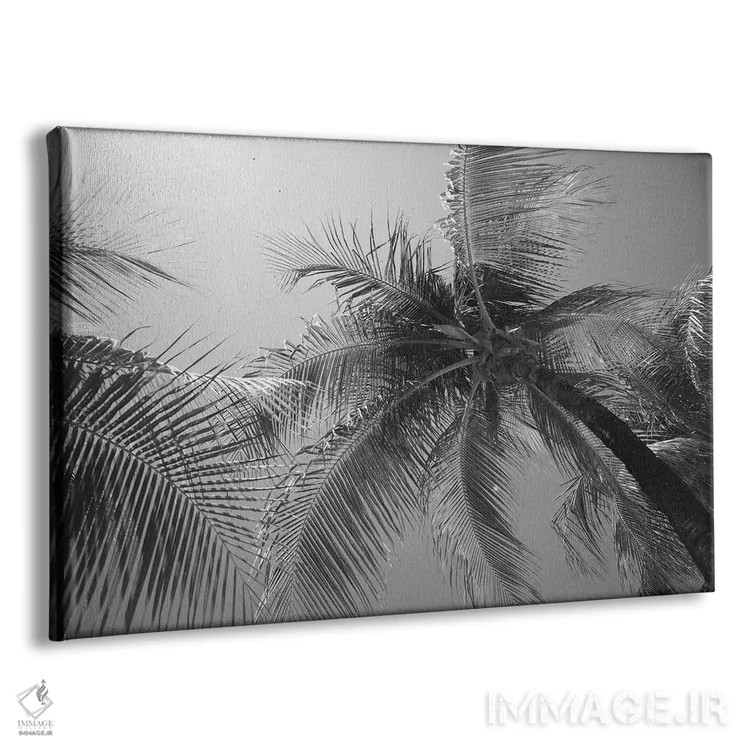 تابلو نخلهای بهشت کاریبی سوم اثر هنر آنیتا و بلا - نمای پرسپکتیو محصول