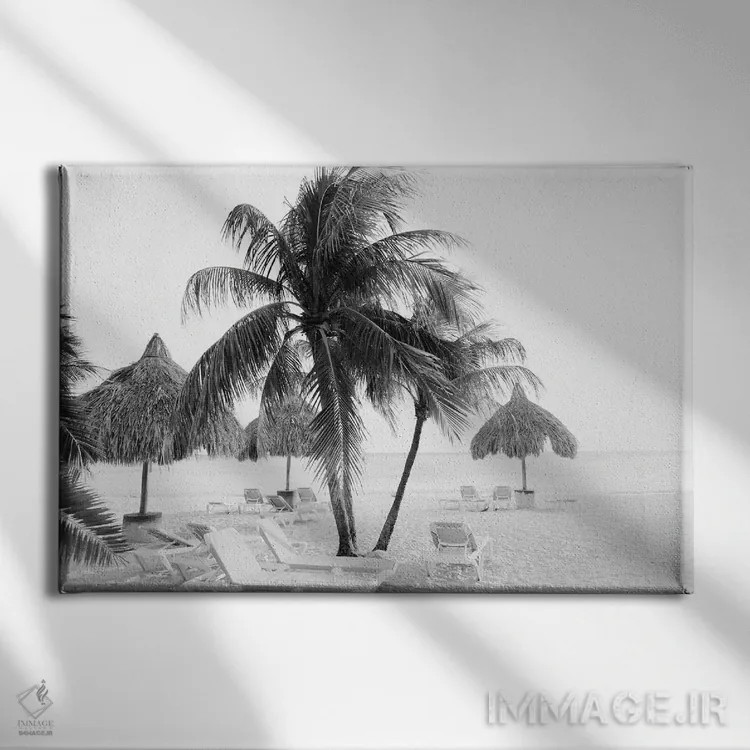 تابلو کاس آبائو (جزیره کاریبی) اثر هنر آنیتا و بلا - نمای روبهرو روی دیوار