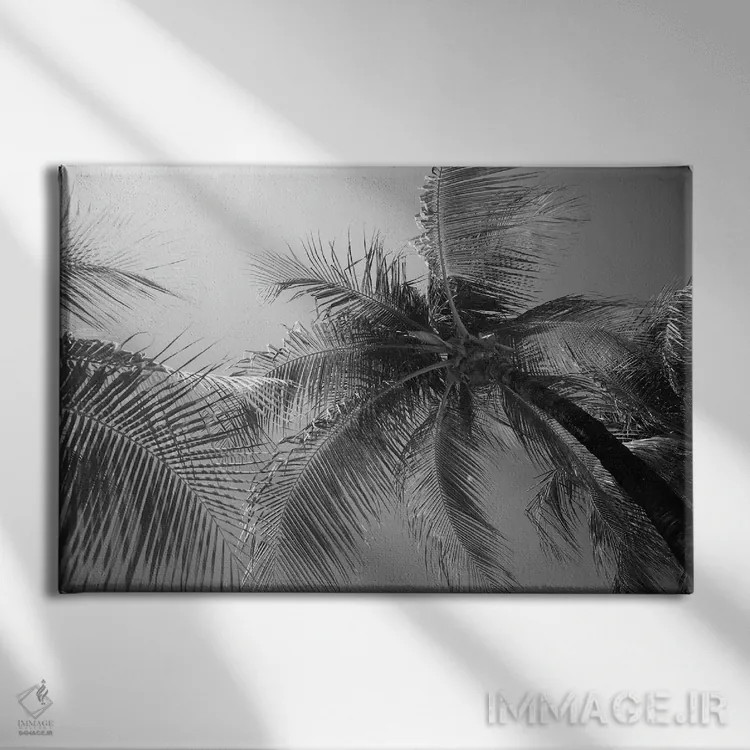 تابلو نخلهای بهشت کاریبی سوم اثر هنر آنیتا و بلا - نمای روبهرو روی دیوار