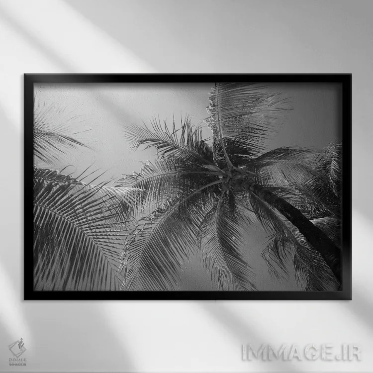 تابلو نخلهای بهشت کاریبی سوم اثر هنر آنیتا و بلا - نمای قابدار مشکی