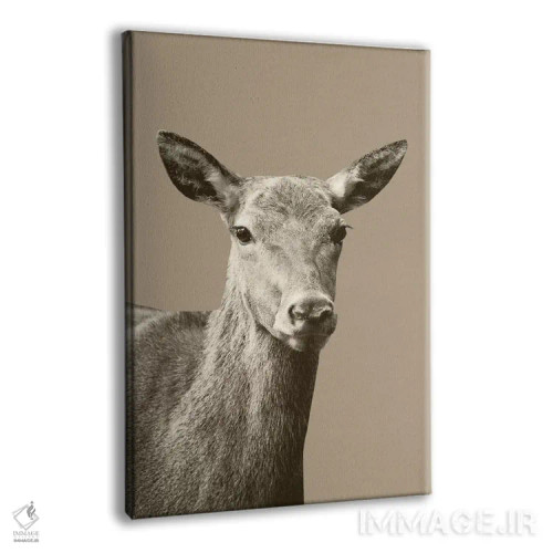 تابلو گوزن روی زمینه سپیا یکم اثر هنر آنیتا و بلا - نمای پرسپکتیو محصول