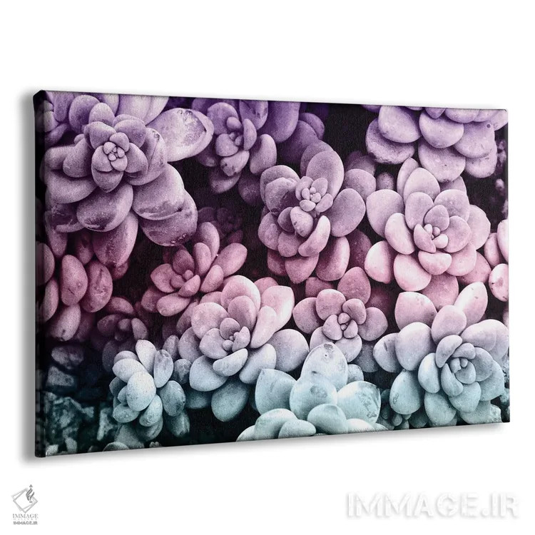 تابلو ساکولنتهای رؤیایی یکم اثر هنر آنیتا و بلا - نمای پرسپکتیو محصول