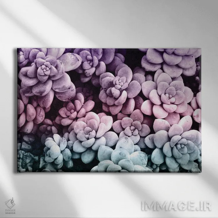 تابلو ساکولنتهای رؤیایی یکم اثر هنر آنیتا و بلا - نمای روبهرو روی دیوار