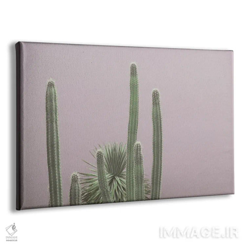 تابلو جذابیت بستان کاکتوس کاریبی سوم اثر هنر آنیتا و بلا - نمای پرسپکتیو محصول