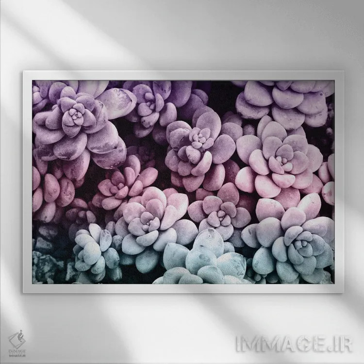 تابلو ساکولنتهای رؤیایی یکم اثر هنر آنیتا و بلا - نمای قابدار سفید