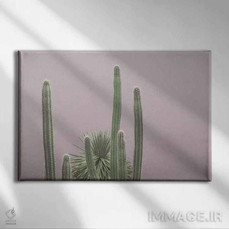 تابلو جذابیت بستان کاکتوس کاریبی سوم اثر هنر آنیتا و بلا - نمای روبهرو روی دیوار