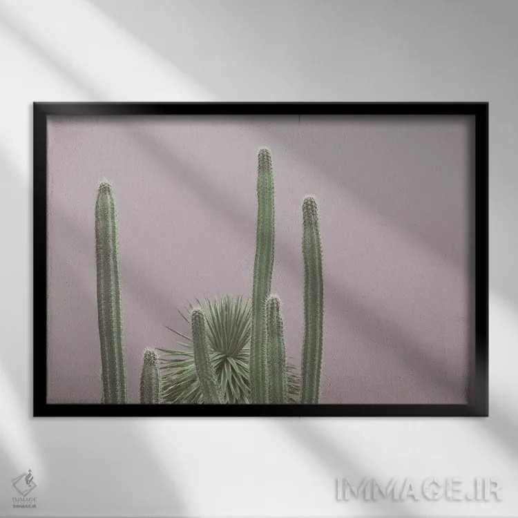 تابلو جذابیت بستان کاکتوس کاریبی سوم اثر هنر آنیتا و بلا - نمای قابدار مشکی