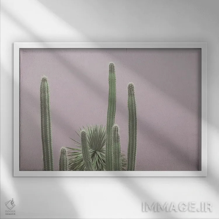 تابلو جذابیت بستان کاکتوس کاریبی سوم اثر هنر آنیتا و بلا - نمای قابدار سفید