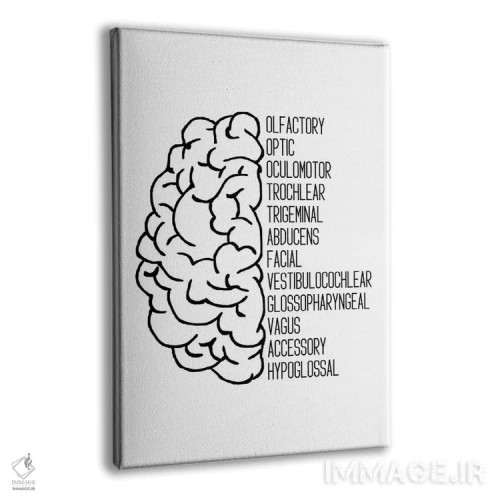 تابلو اعصاب جمجمهای سیاه اثر آلیسا بانتا - نمای پرسپکتیو محصول