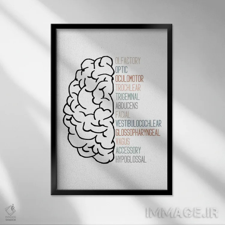 تابلو اعصاب جمجمهای خنثی اثر آلیسا بانتا - نمای قابدار مشکی