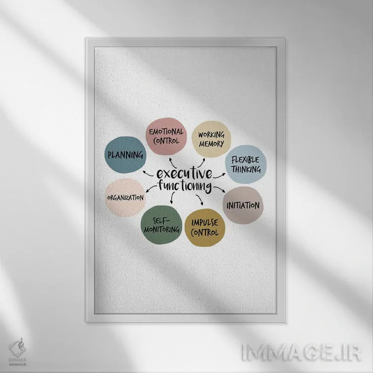 تابلو کارکردهای اجرایی اثر آلیسا بانتا - نمای قابدار سفید