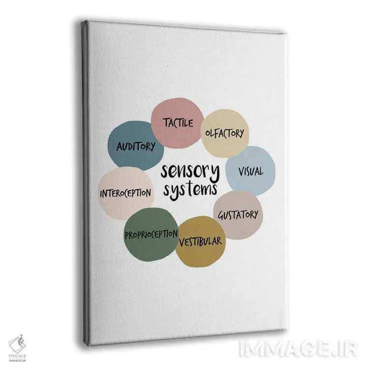 تابلو سیستمهای حسی اثر آلیسا بانتا - نمای پرسپکتیو محصول