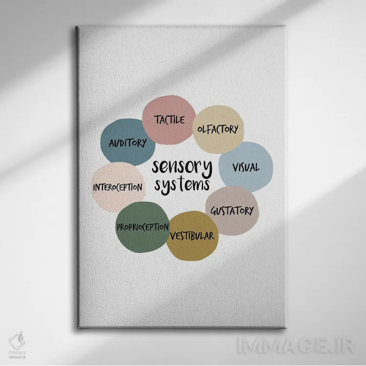 تابلو سیستمهای حسی اثر آلیسا بانتا - نمای روبهرو روی دیوار