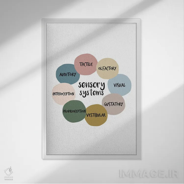 تابلو سیستمهای حسی اثر آلیسا بانتا - نمای قابدار سفید