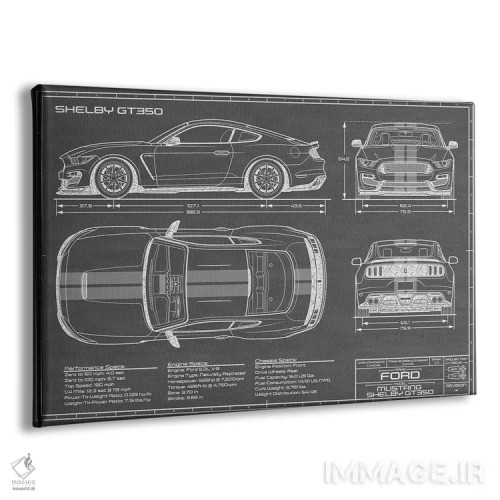 تابلو شلبی GT350 (۲۰۱۵-۲۰۱۹) مشکی اثر اکشن بلوپرینتس (نقشههای اکشن) - نمای پرسپکتیو محصول