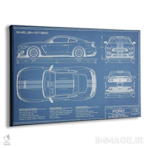 تابلو نقشهٔ شلبی GT350 (۲۰۱۵-۲۰۱۹) اثر اکشن بلوپرینتس (نقشههای اکشن) - نمای پرسپکتیو محصول