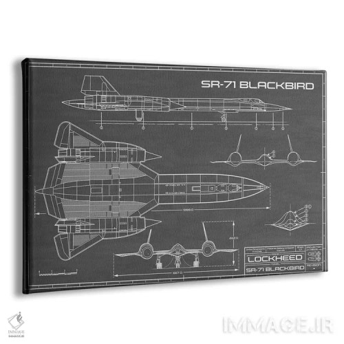 تابلو هواپیمای جاسوسی SR-71 بلکبرد (مشکی) اثر اکشن بلوپرینتس (نقشههای اکشن) - نمای پرسپکتیو محصول