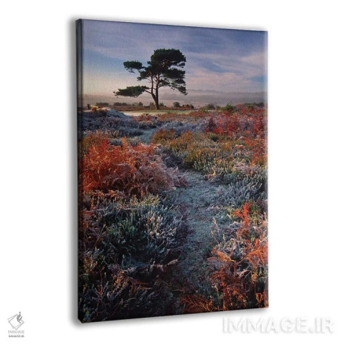 تابلو صبحی یخبندان اثر آدام برتون - نمای پرسپکتیو محصول