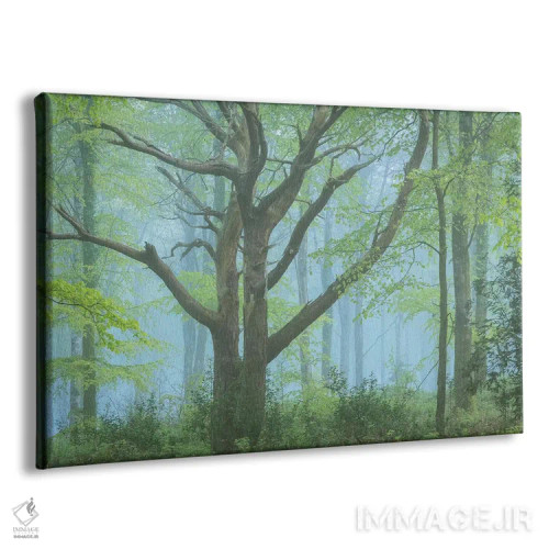 تابلو جنگل بهاری اثر آدام برتون - نمای پرسپکتیو محصول