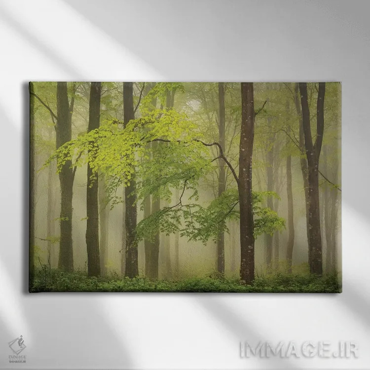 تابلو جنگلچه بهاری اثر آدام برتون - نمای روبهرو روی دیوار