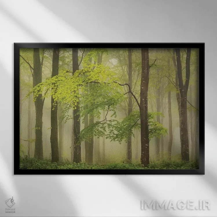 تابلو جنگلچه بهاری اثر آدام برتون - نمای قابدار مشکی