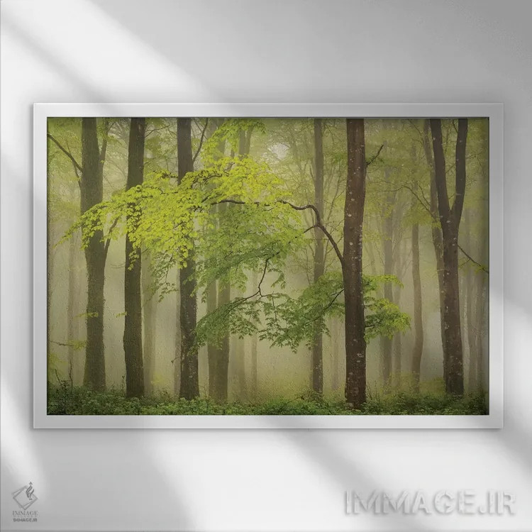 تابلو جنگلچه بهاری اثر آدام برتون - نمای قابدار سفید